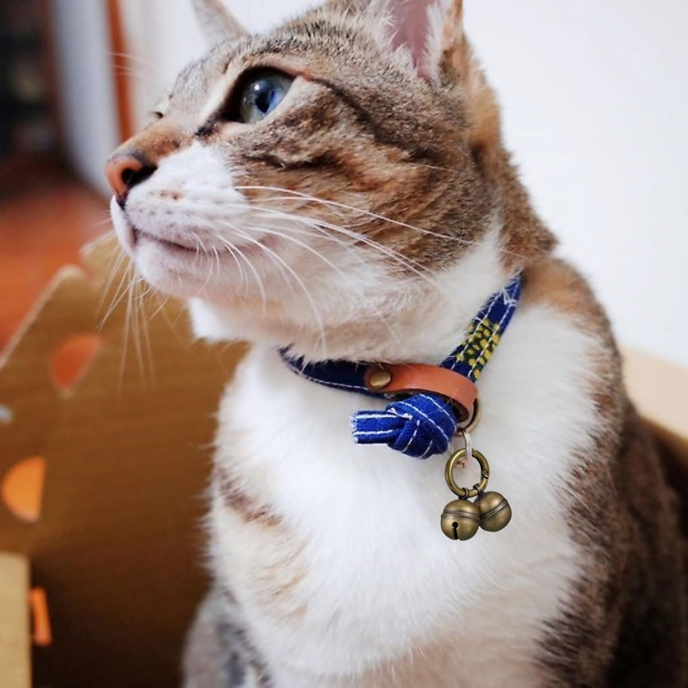Cobre resistente y duradero para mascotas activas con Chyobo.