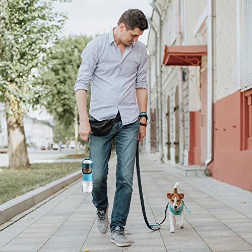 Botella Cibaabo para perros de 300 ml, perfecta para paseos cortos.