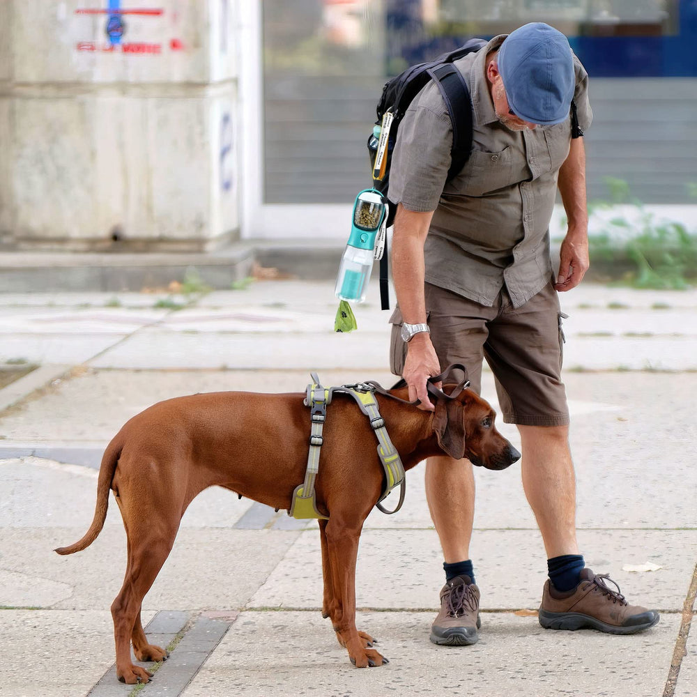 Cibaabo opciones de colores y tamaños, estilo para cada perro