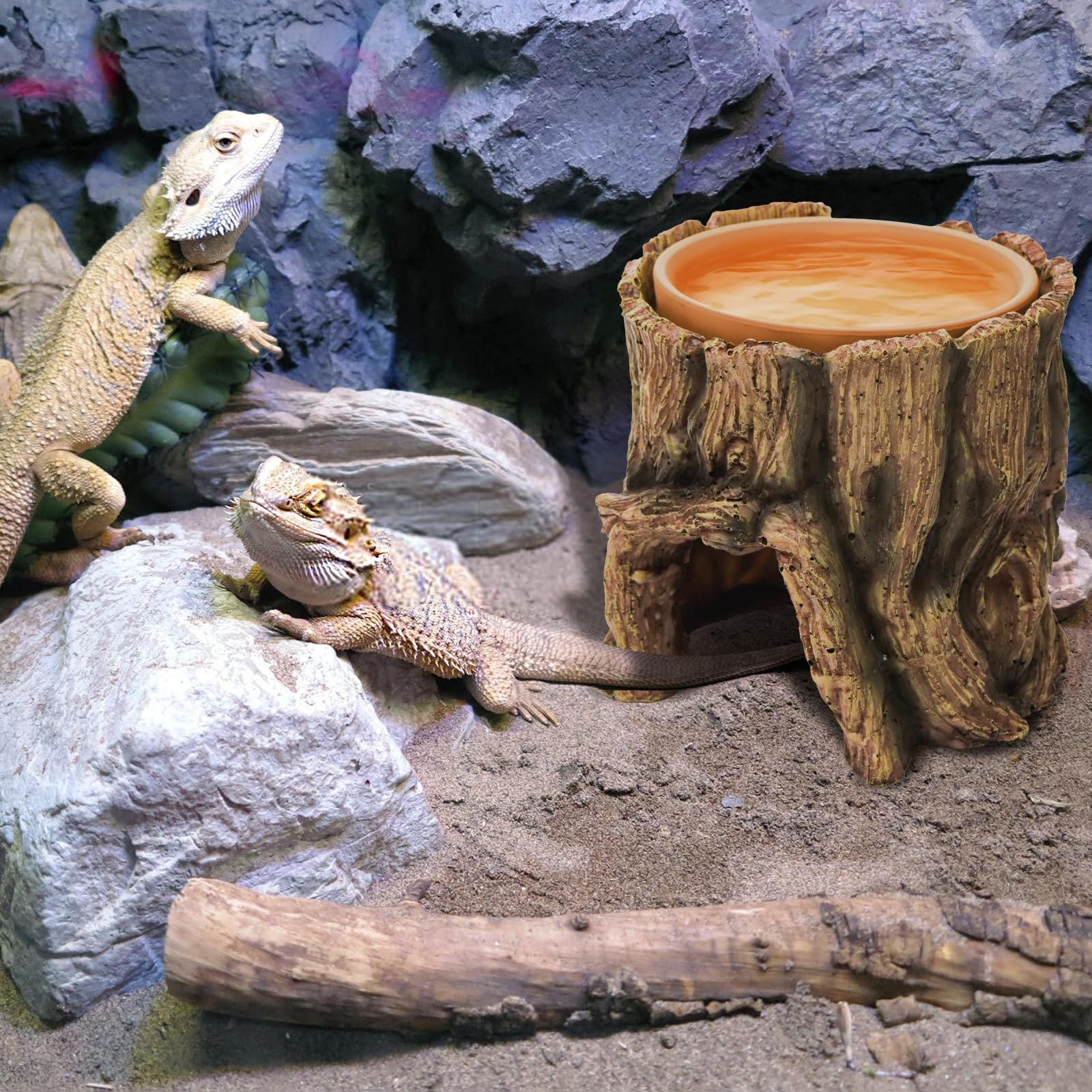 Cididu compatibilidad para geckos serpientes y tortugas