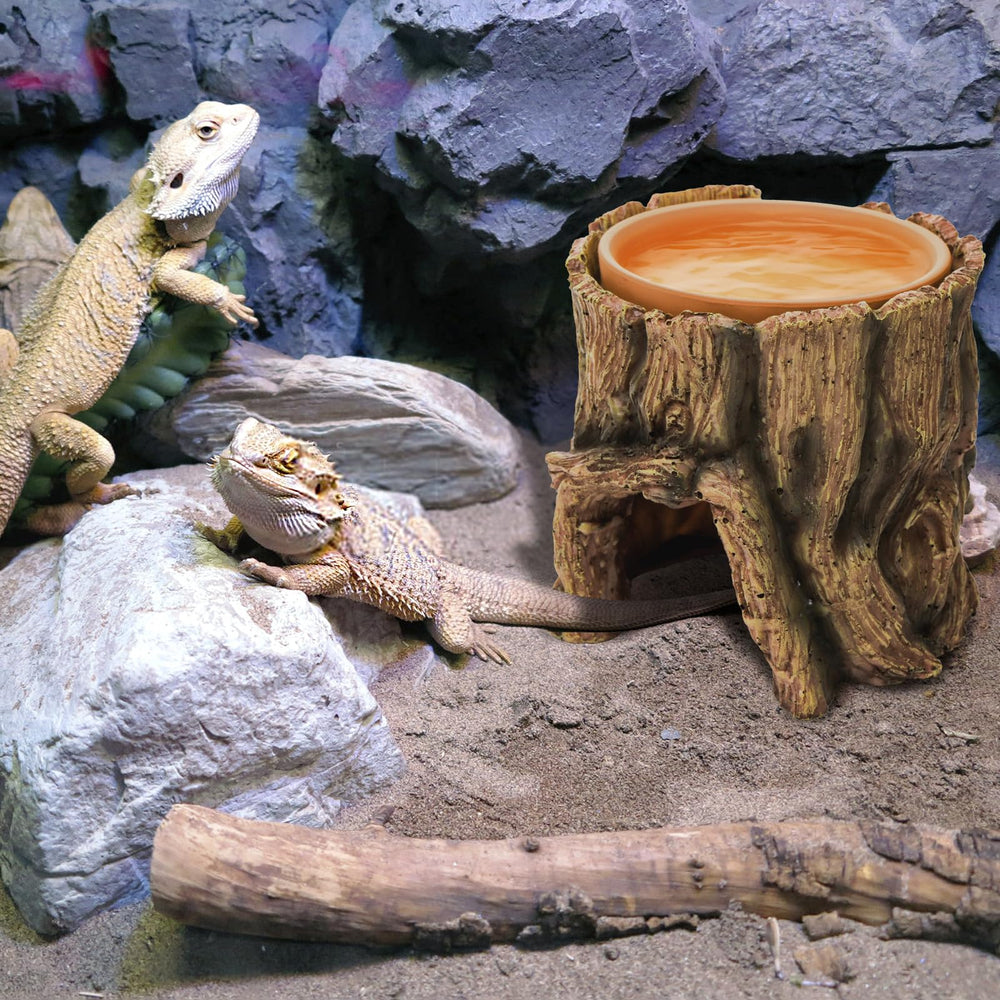 Cididu compatibilidad para geckos serpientes y tortugas