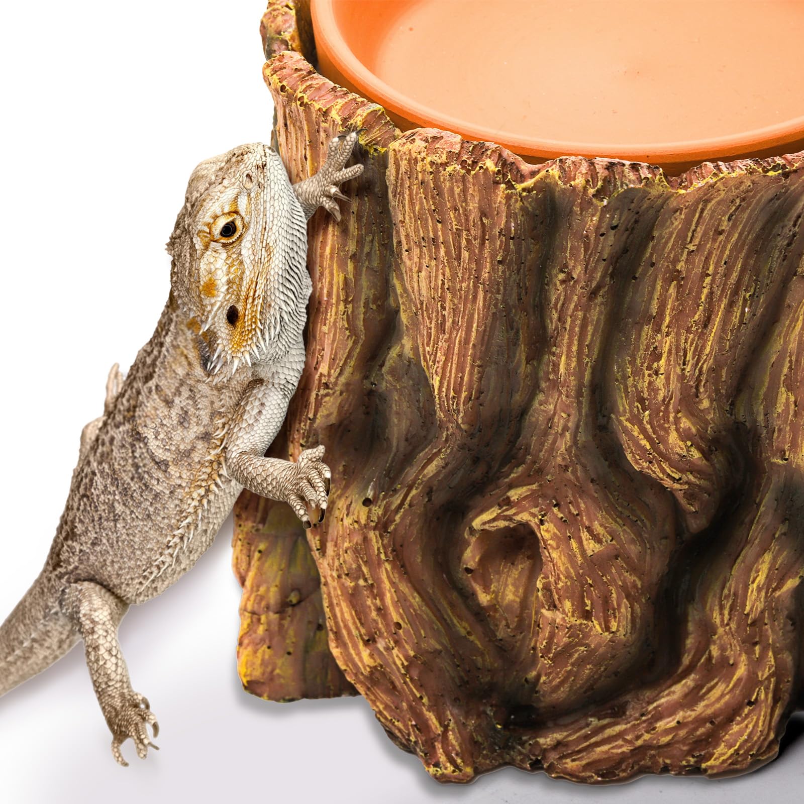 Cididu hábitat dos en uno: refugio y bandeja integrados para reptiles