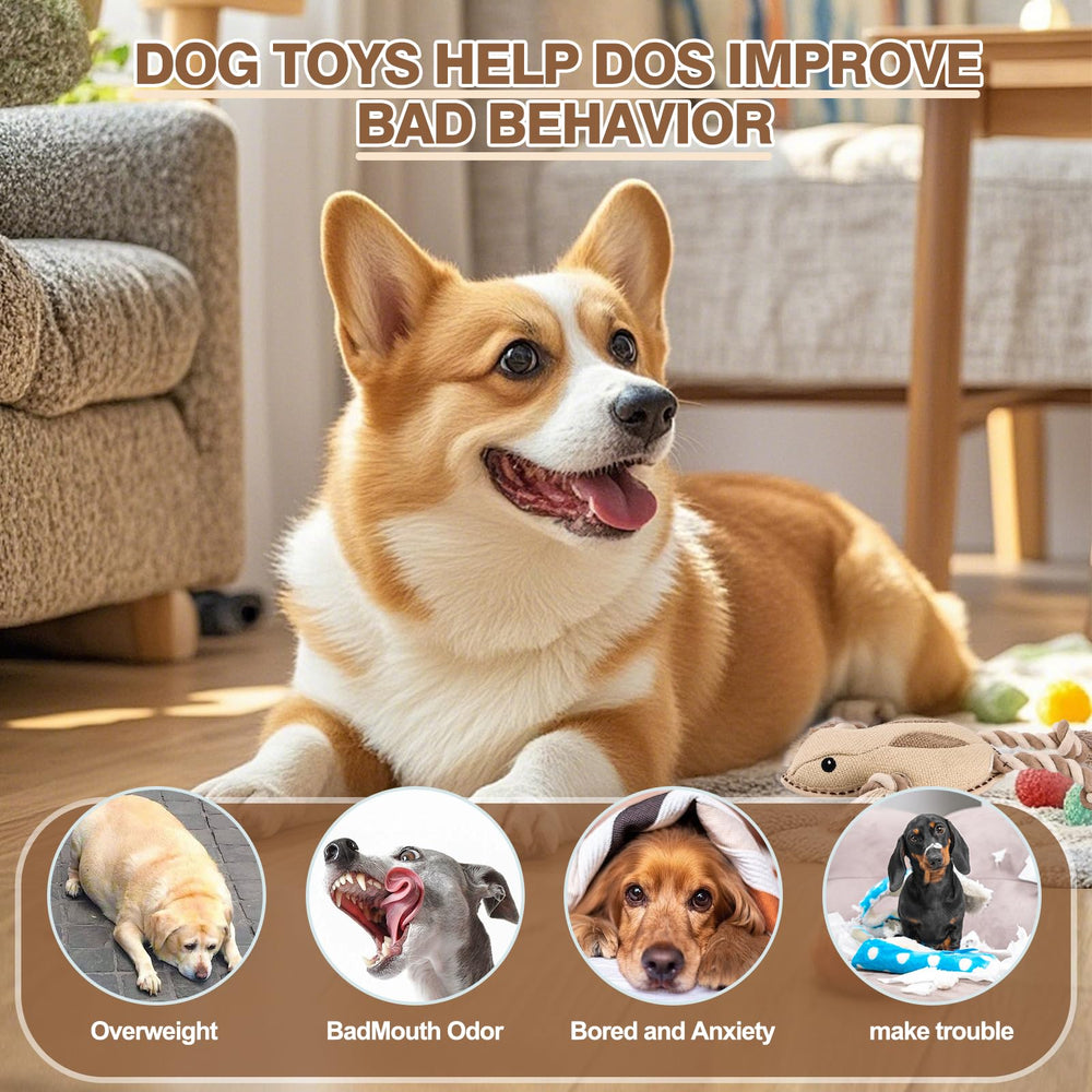 CIDIXCIDIX tamaño-multiples: adecuado para perros pequeños, medianos y grandes.