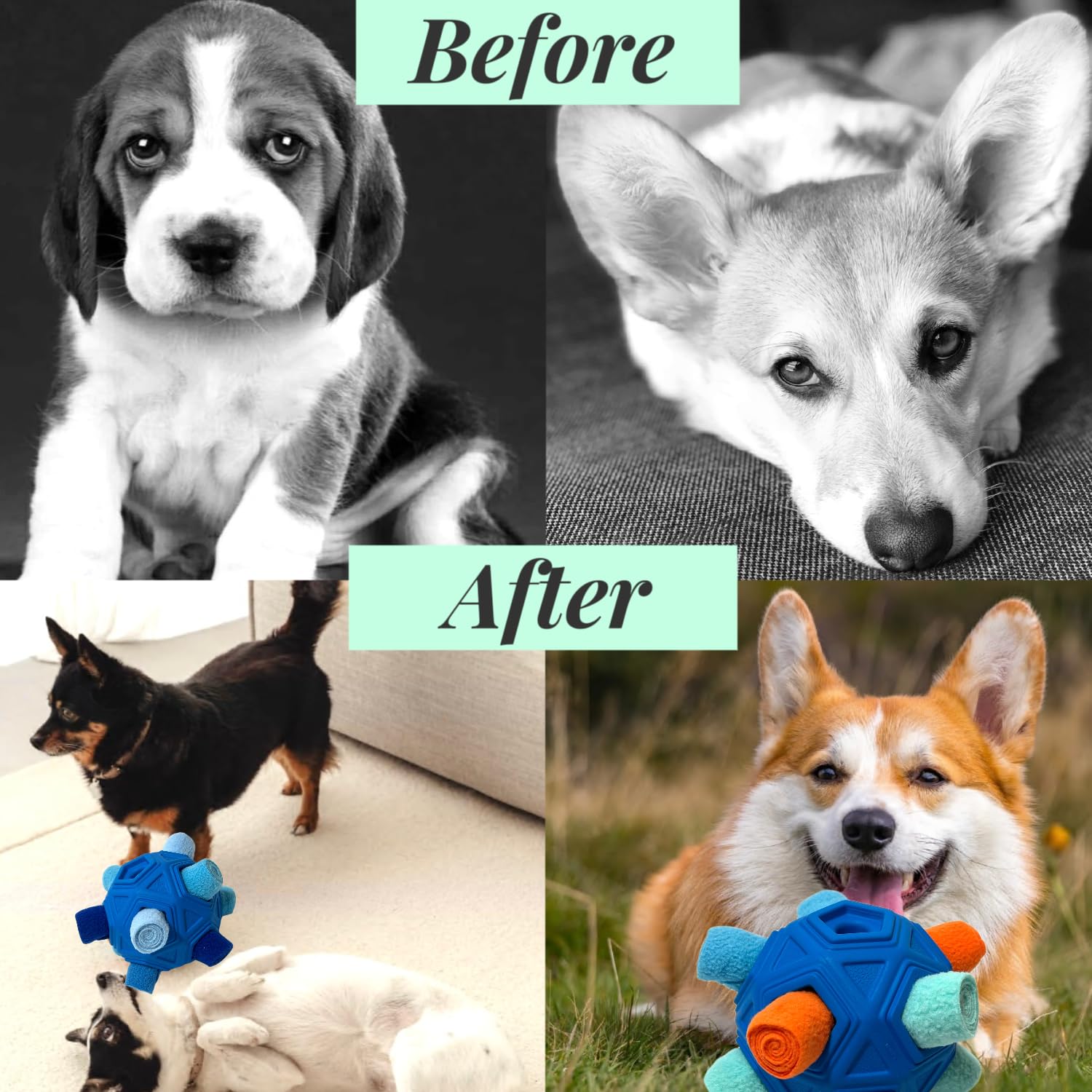 CIIVURR Snuffle Ball azul, fácil limpieza para uso diario.