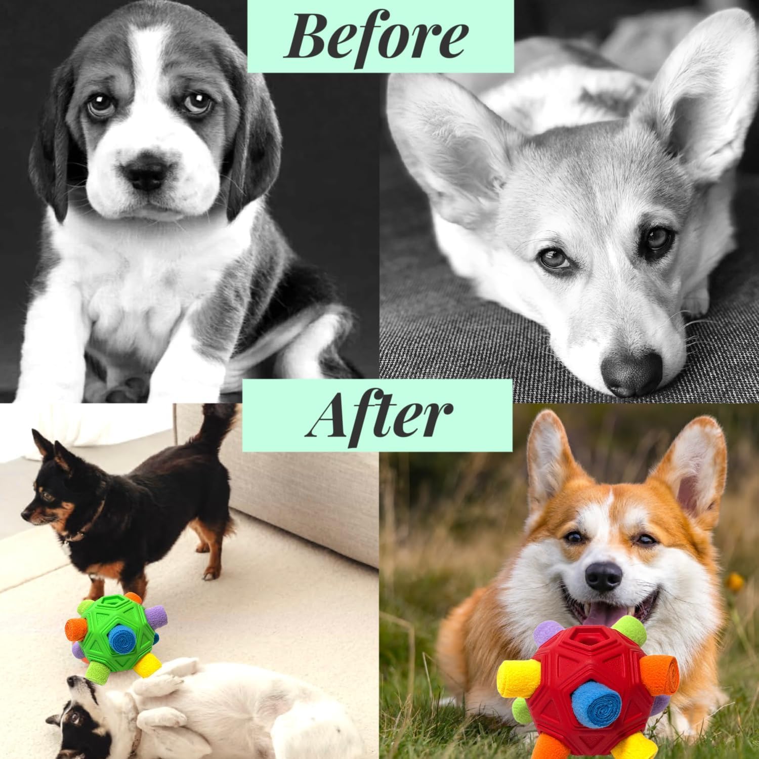 CIIVURR Snuffle Ball, limpieza fácil, lavable a mano o a máquina.