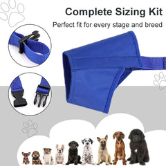 Protección de mordidas y ladridos con museras Cilkus para perros.