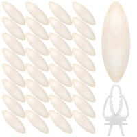 Huesos de calamar de Cindeer para aves, conjunto de 40, estimula juego y curiosidad de aves