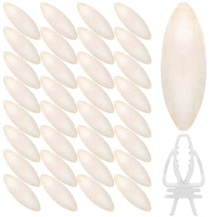 Huesos de calamar de Cindeer para aves, conjunto de 40, estimula juego y curiosidad de aves