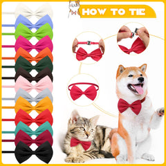 Lazo para perro Cindeer ajustable en negro; toque elegante para ocasiones formales.