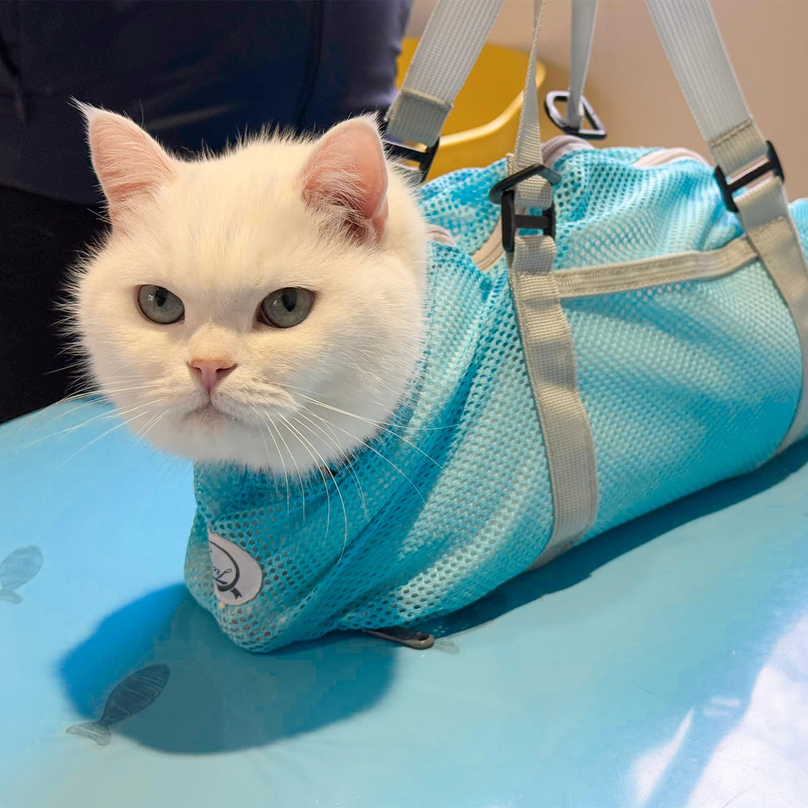 Cinf bolsa-bano-gato azul frente: baño cómodo y seguro