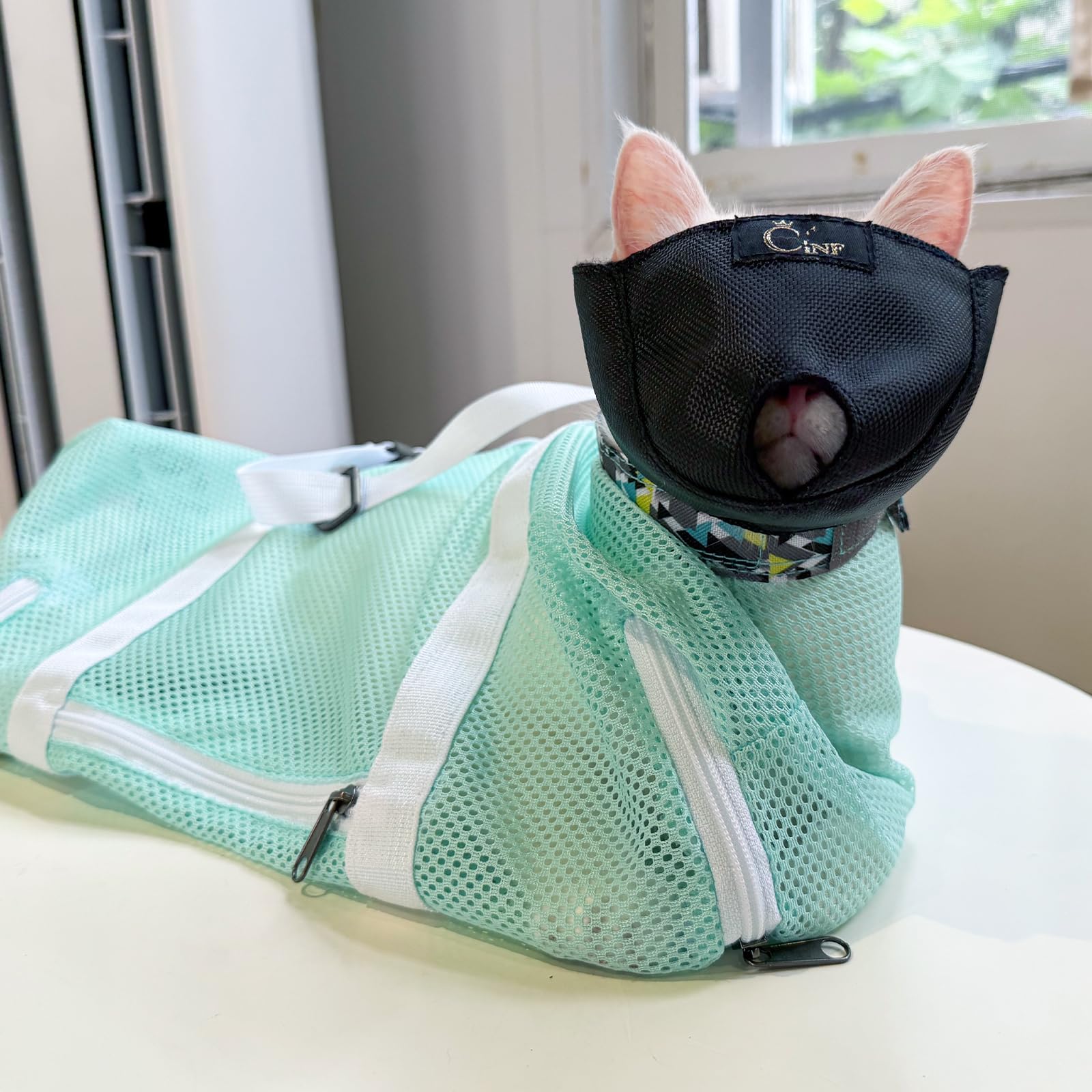 Cinf bolsa-bano-gato-menta-talla-l protege durante el lavado de mordidas y arañazos.