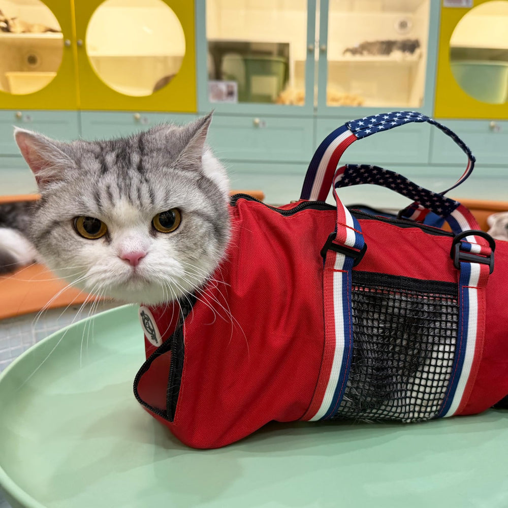 Cinf bolsa de gato con malla transpirable para mayor comodidad.