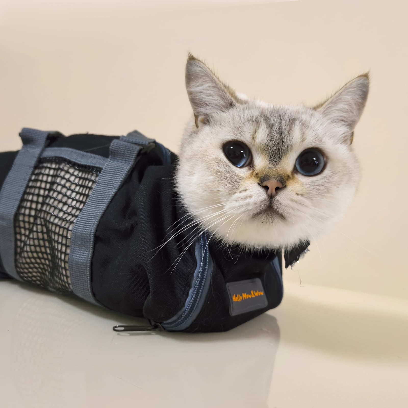 Cinf bolsa para gato durante baño y cepillado con excelente ventilación.