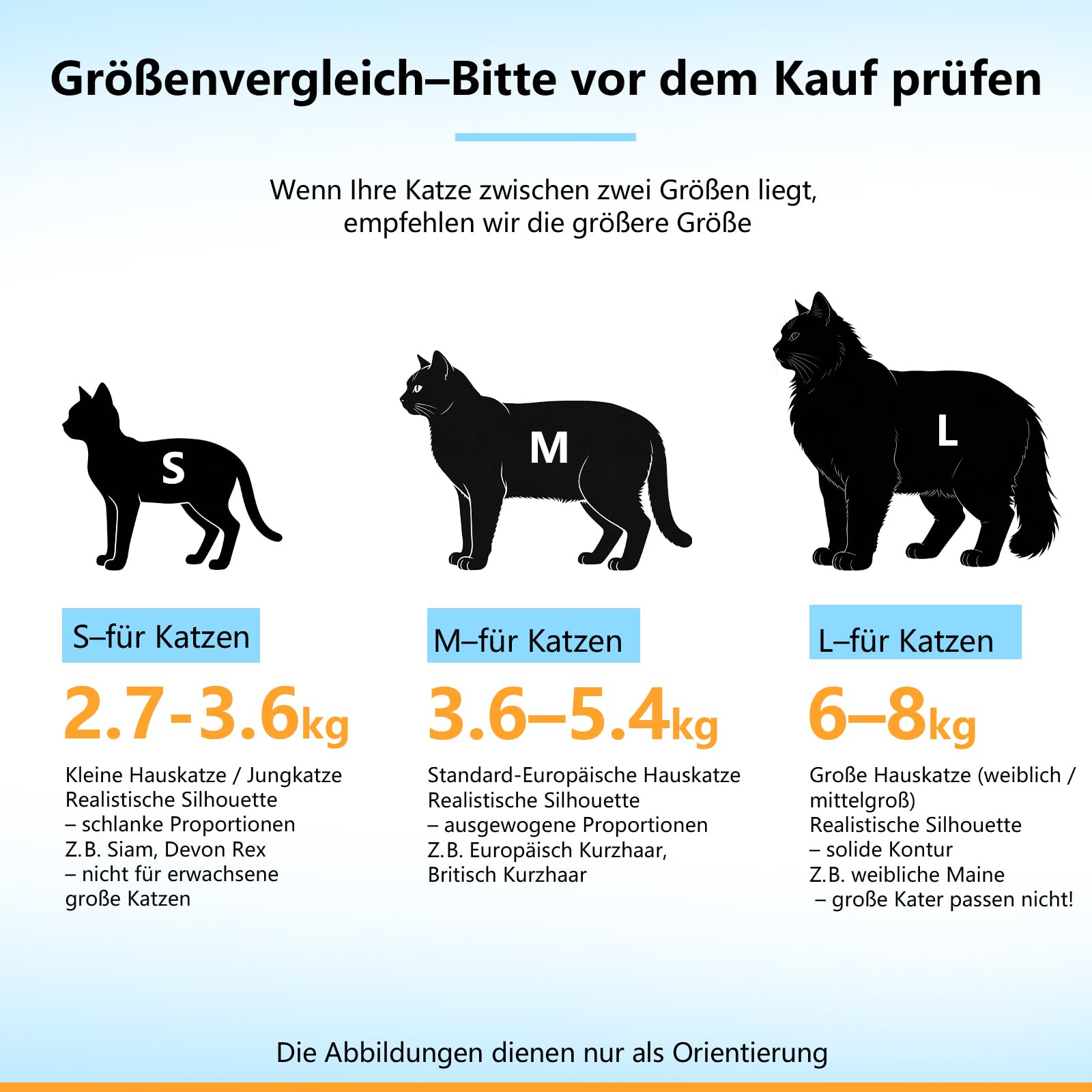 Cinf gato: experiencia agradable para dueño y mascota.