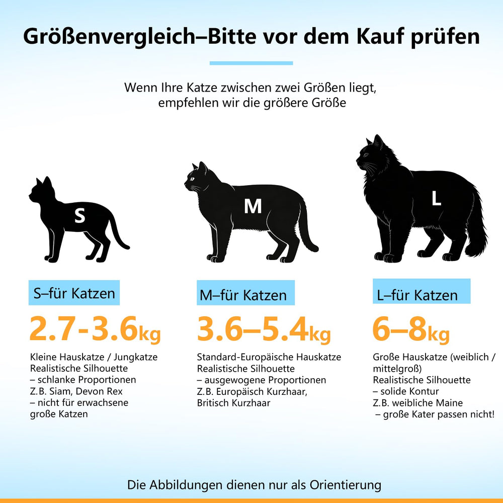 Cinf gato: experiencia agradable para dueño y mascota.