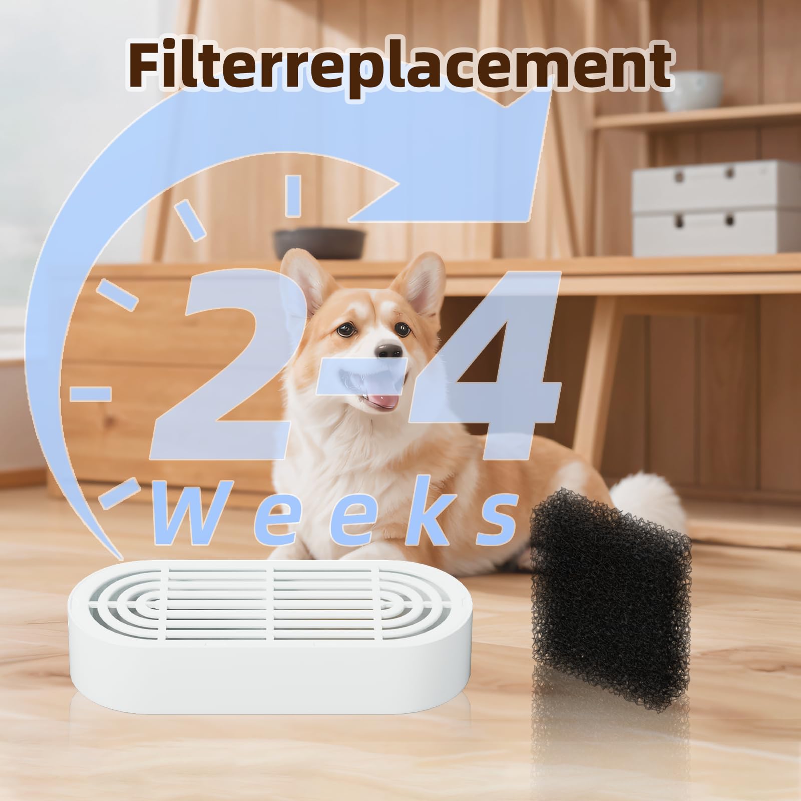 CITIZILI gran capacidad 7L, ideal para hogares con varias mascotas