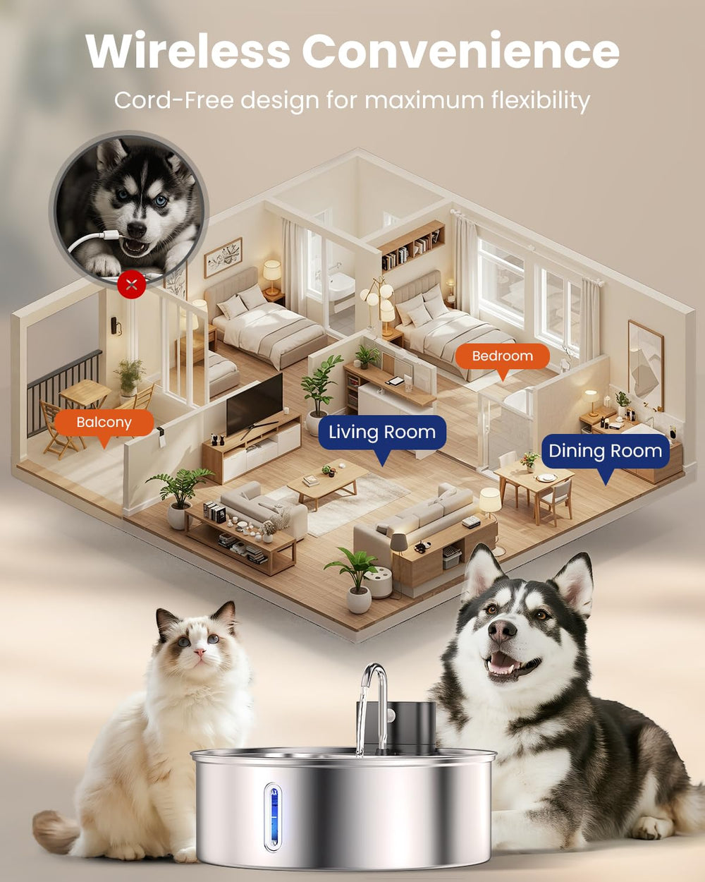 Cityflee uso-domestico-para-perros-y-gatos cabida para hogares con varias mascotas.