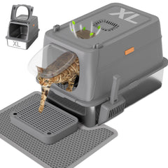 Citylife XL con tapa: caja para gatos grandes y limpieza sencilla.