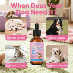 CIVGICY Petz Collagen, mezclar con comida para facilitar la suplementación.