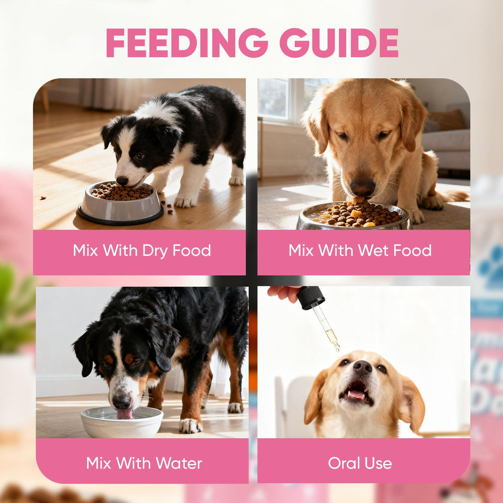 CIVGICY Petz Collagen, apto para perros y gatos de todas las edades.