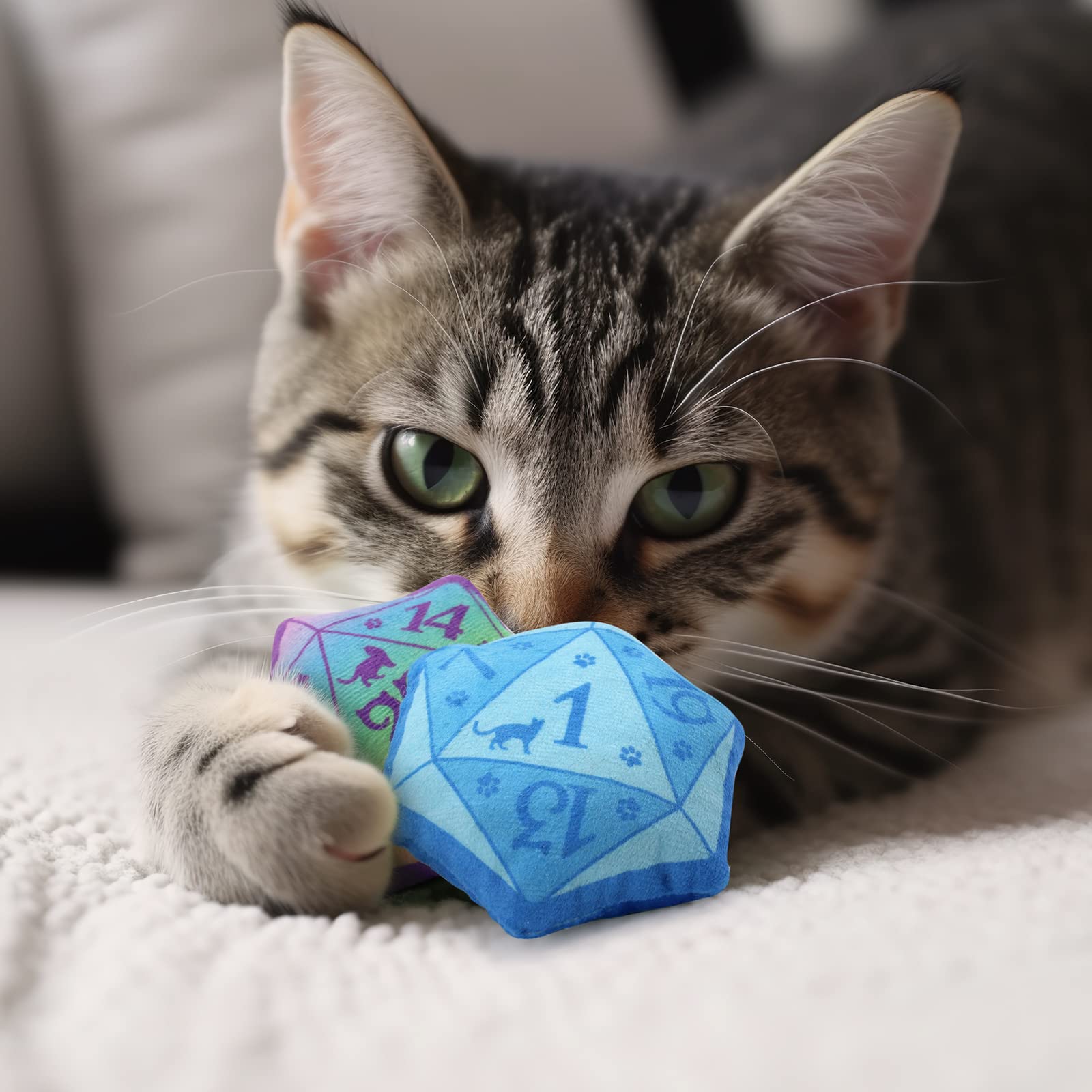 Regalo ideal para amantes de gatos: juego D20 de felpa con hierba catnip.