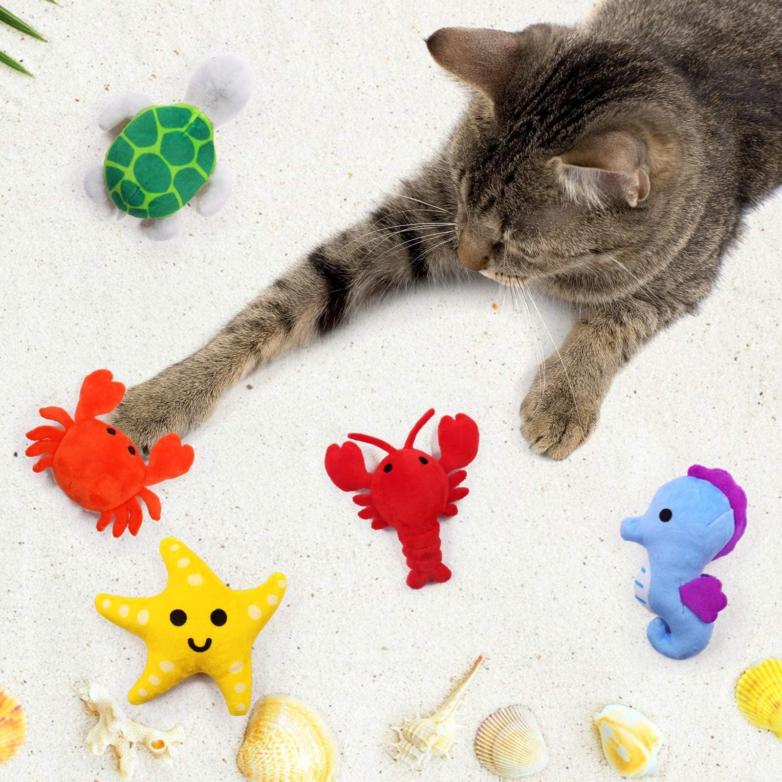 Juguete de estrella de mar CiyvoLyeen para estimulación mental y juego.