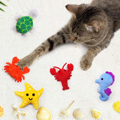 Juguete de estrella de mar CiyvoLyeen para estimulación mental y juego.