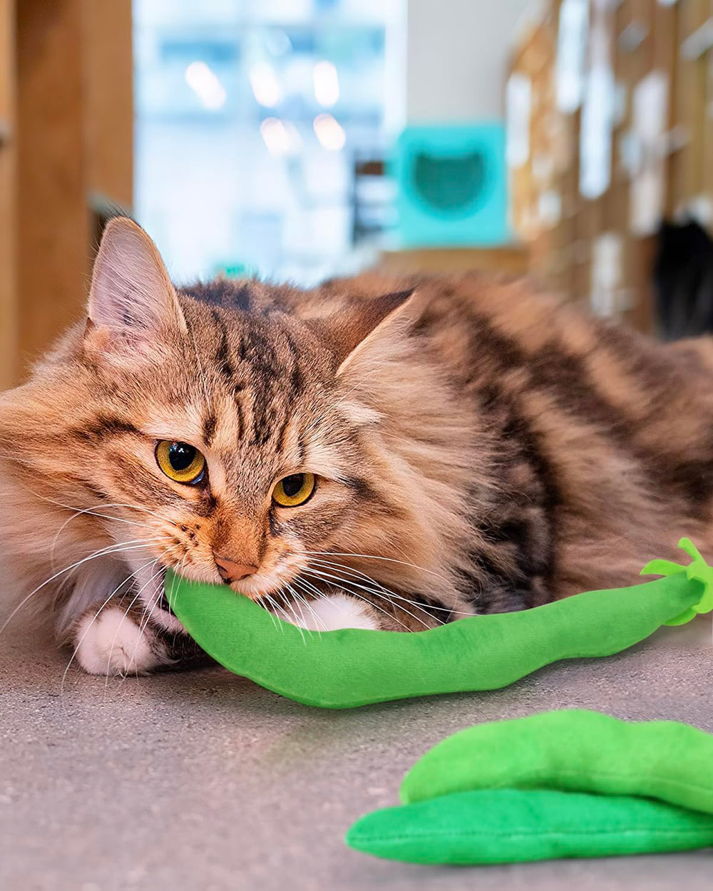 Regalo perfecto para amantes de gatos con felinos curiosos.