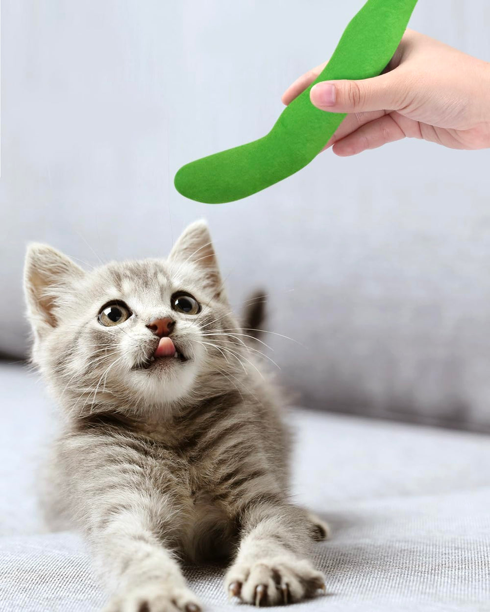 Juguete CiyvoLyeen Catnip para uso en interiores de gatos adultos.