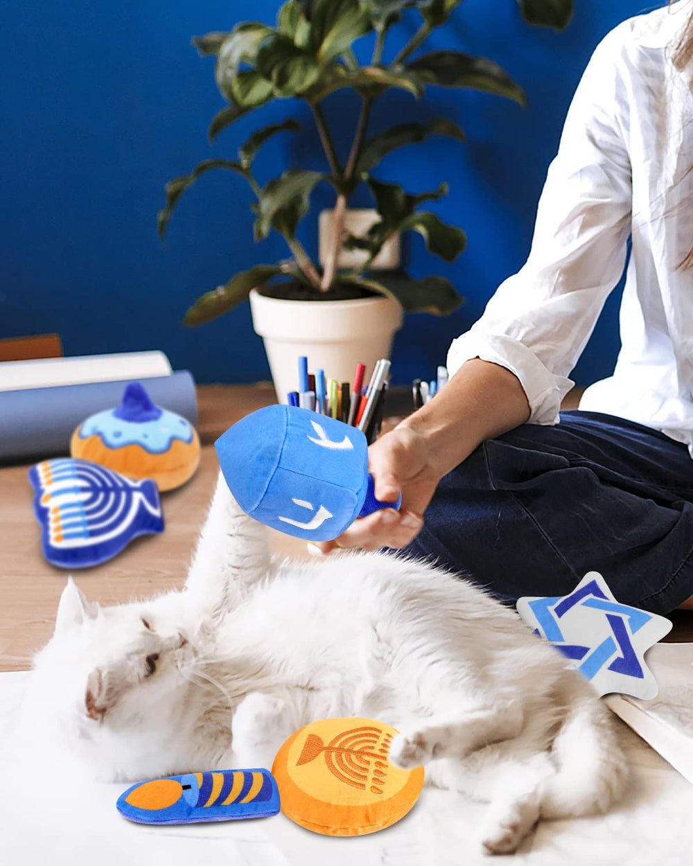 CiyvoLyeen gelt de peluche con jerba gatera para juego activo