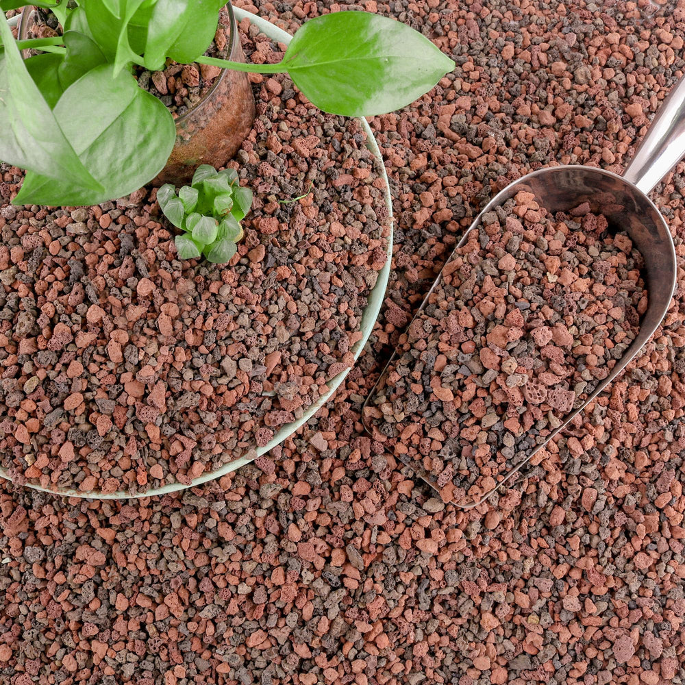 CJGQ mezcla de rocas de lava 18 lb para plantas con drenaje mejorado.