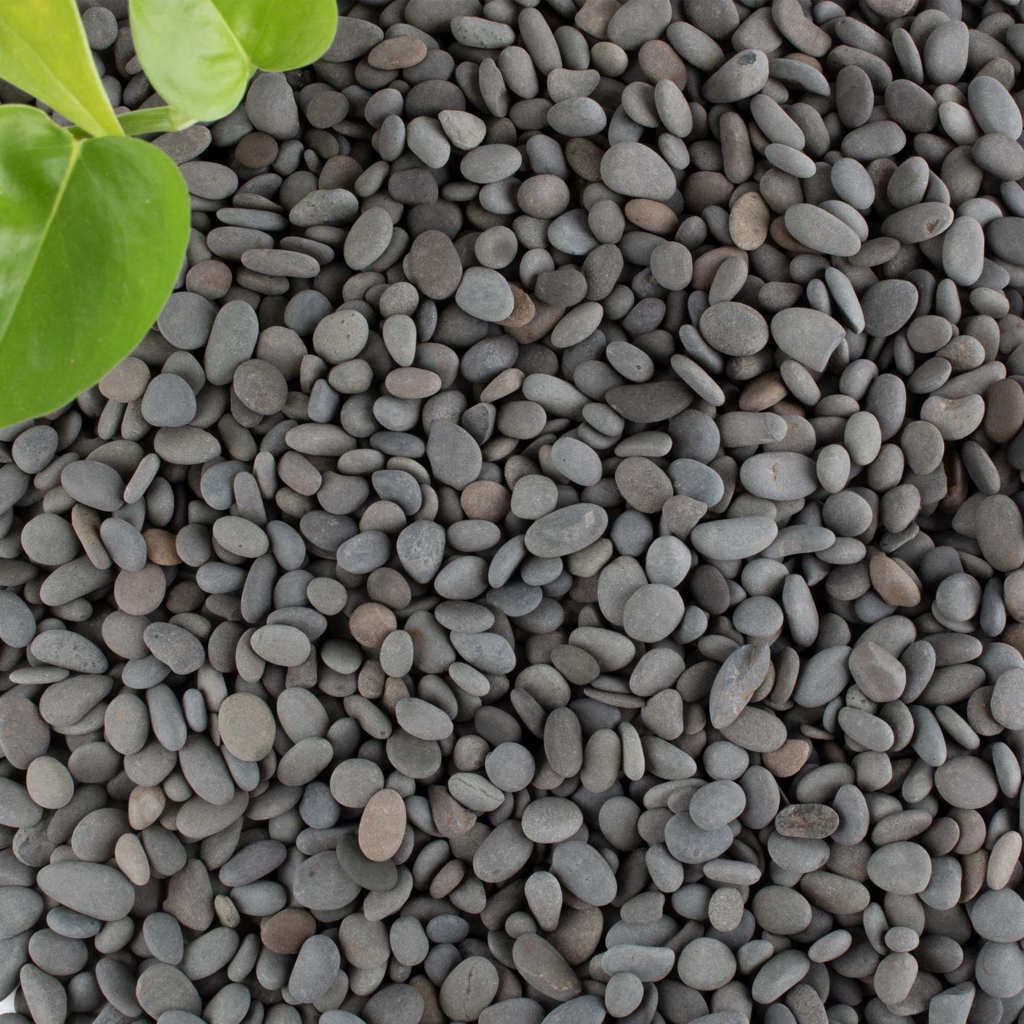 CJGQ piedras de río pulidas para jardinería y decoración exterior
