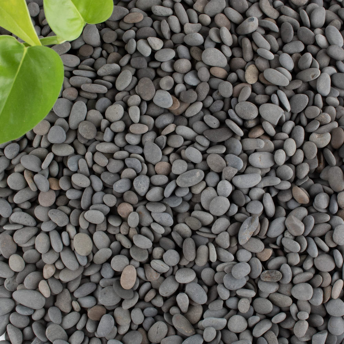 CJGQ piedras de río pulidas para jardinería y decoración exterior