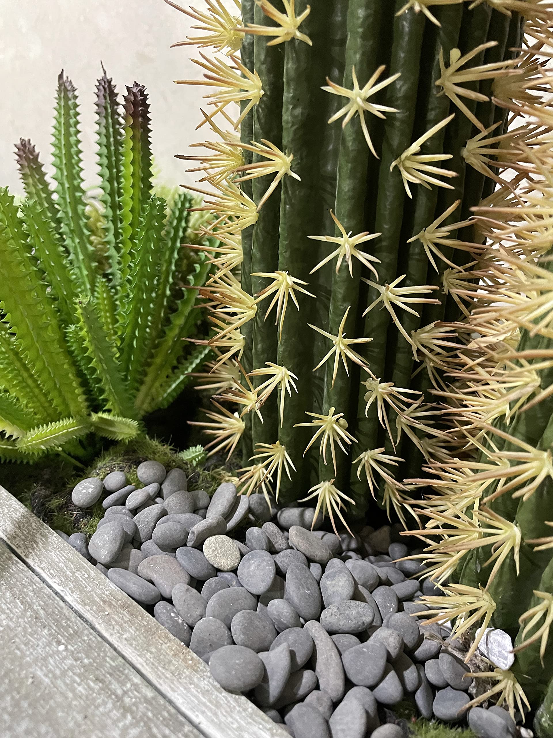 CJGQ piedras para plantas suculentas con buen drenaje