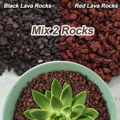 CJGQ rocas lava negras y rojas absorben exceso de agua para evitar encharcamientos.