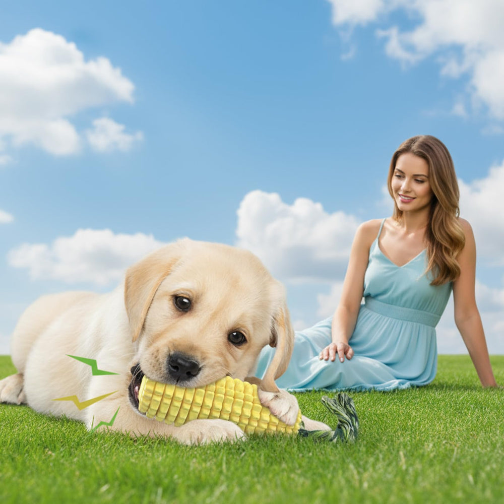 Entretenimiento y premios con ClariVora, snack congelado para perros