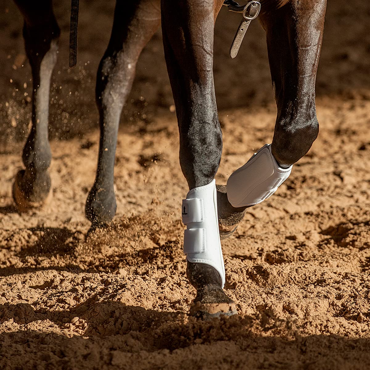 Classic Equine AirWave protector frontal blanco mediano, perforado para disipar calor