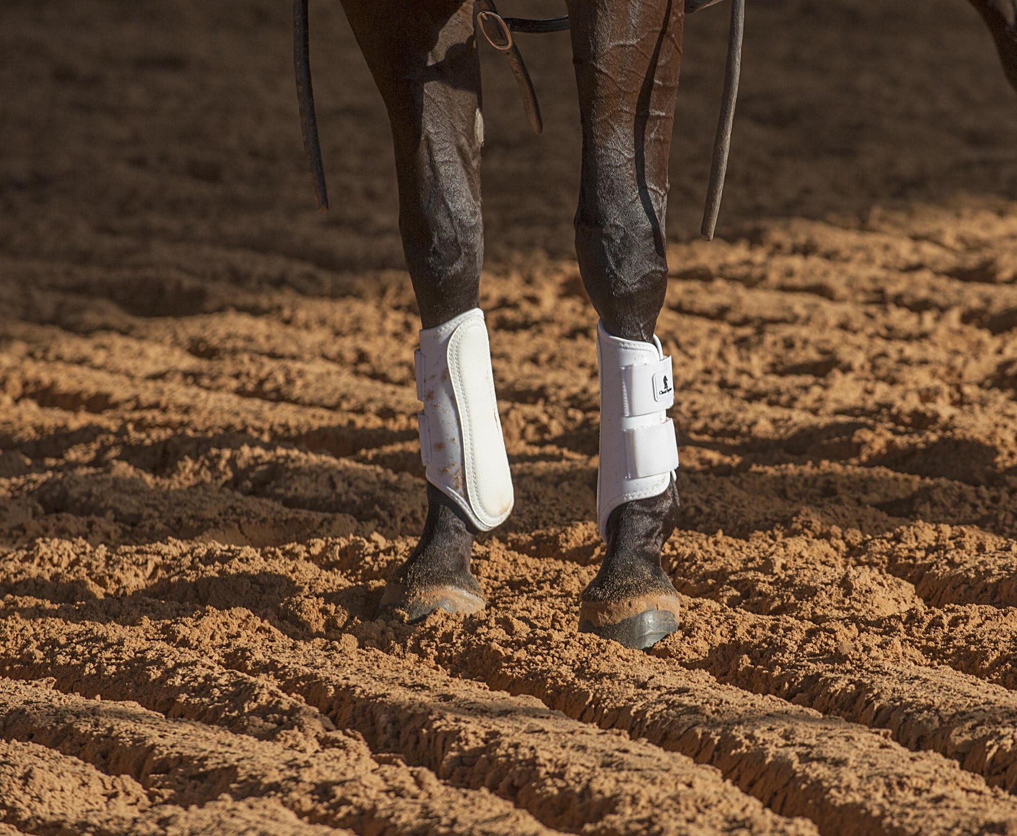 Classic Equine AirWave protector frontal cuero con almohadilla nitrato para absorción de impactos