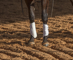 Classic Equine AirWave protector frontal cuero con almohadilla nitrato para absorción de impactos