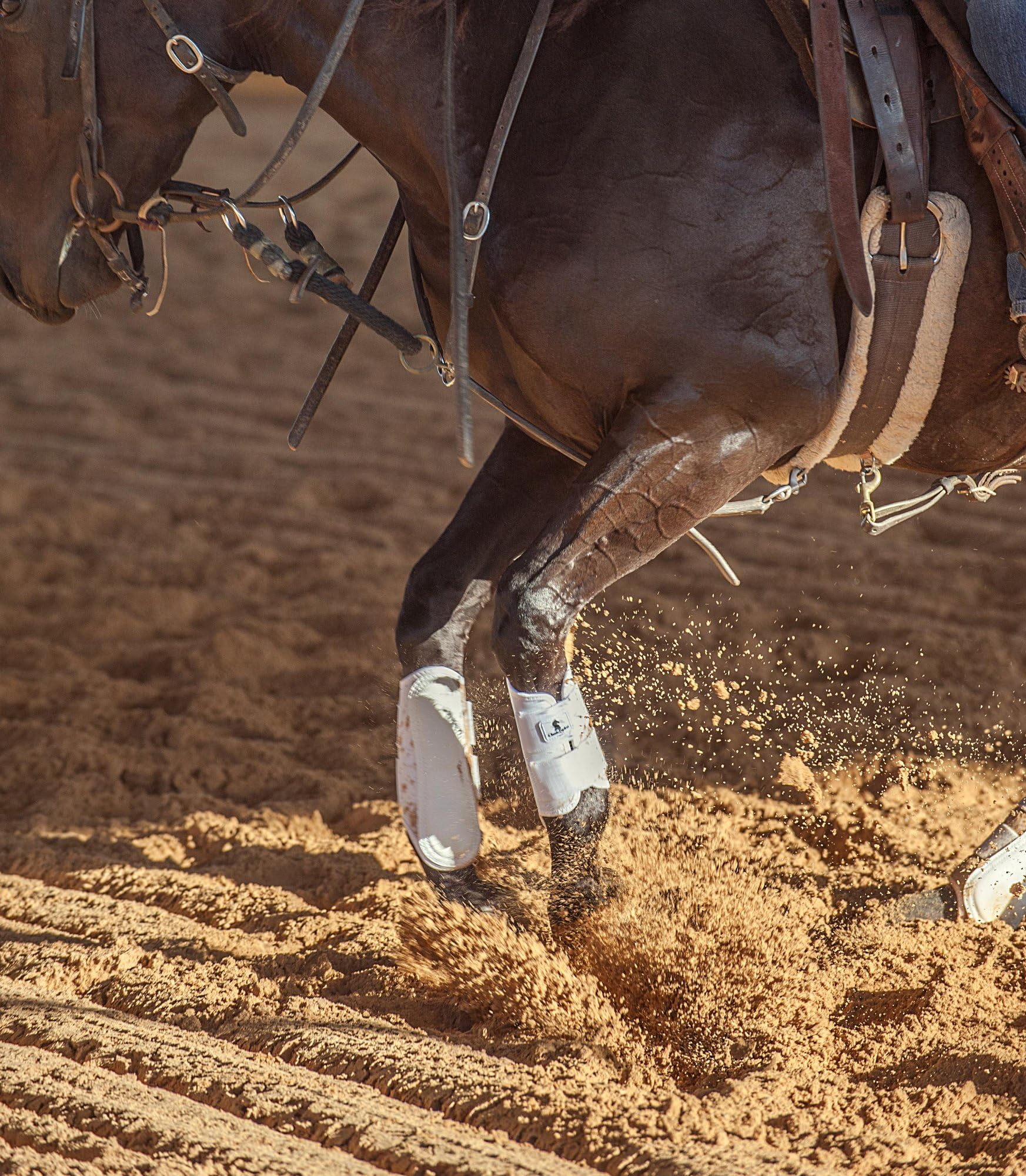 Classic Equine AirWave protector frontal utilizado en exhibición y entrenamiento