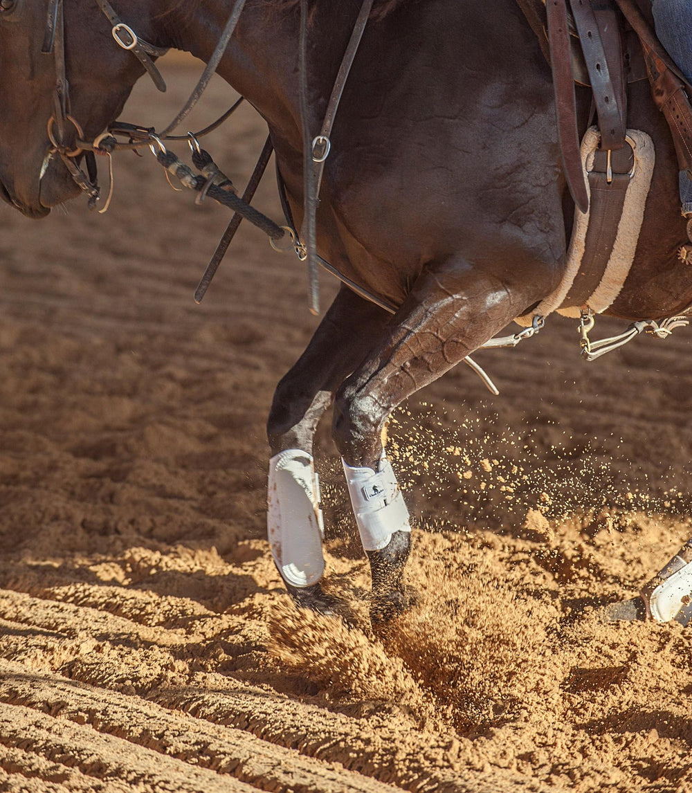 Classic Equine AirWave protector frontal utilizado en exhibición y entrenamiento