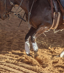 Classic Equine AirWave protector frontal utilizado en exhibición y entrenamiento