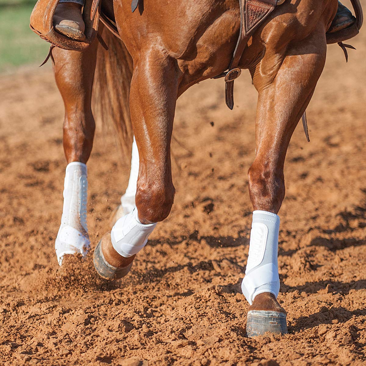 Classic Equine Sling Boots disponibles en varios tamaños para caballos
