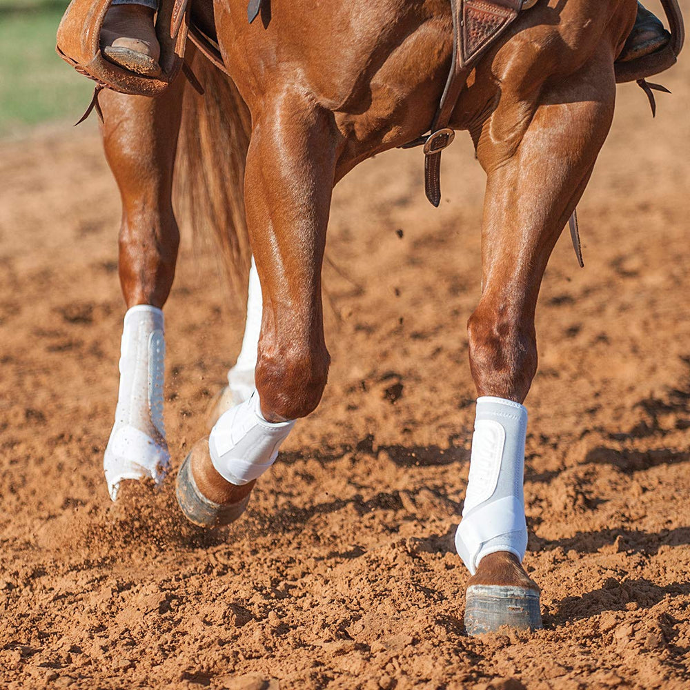 Classic Equine Sling Boots disponibles en varios tamaños para caballos
