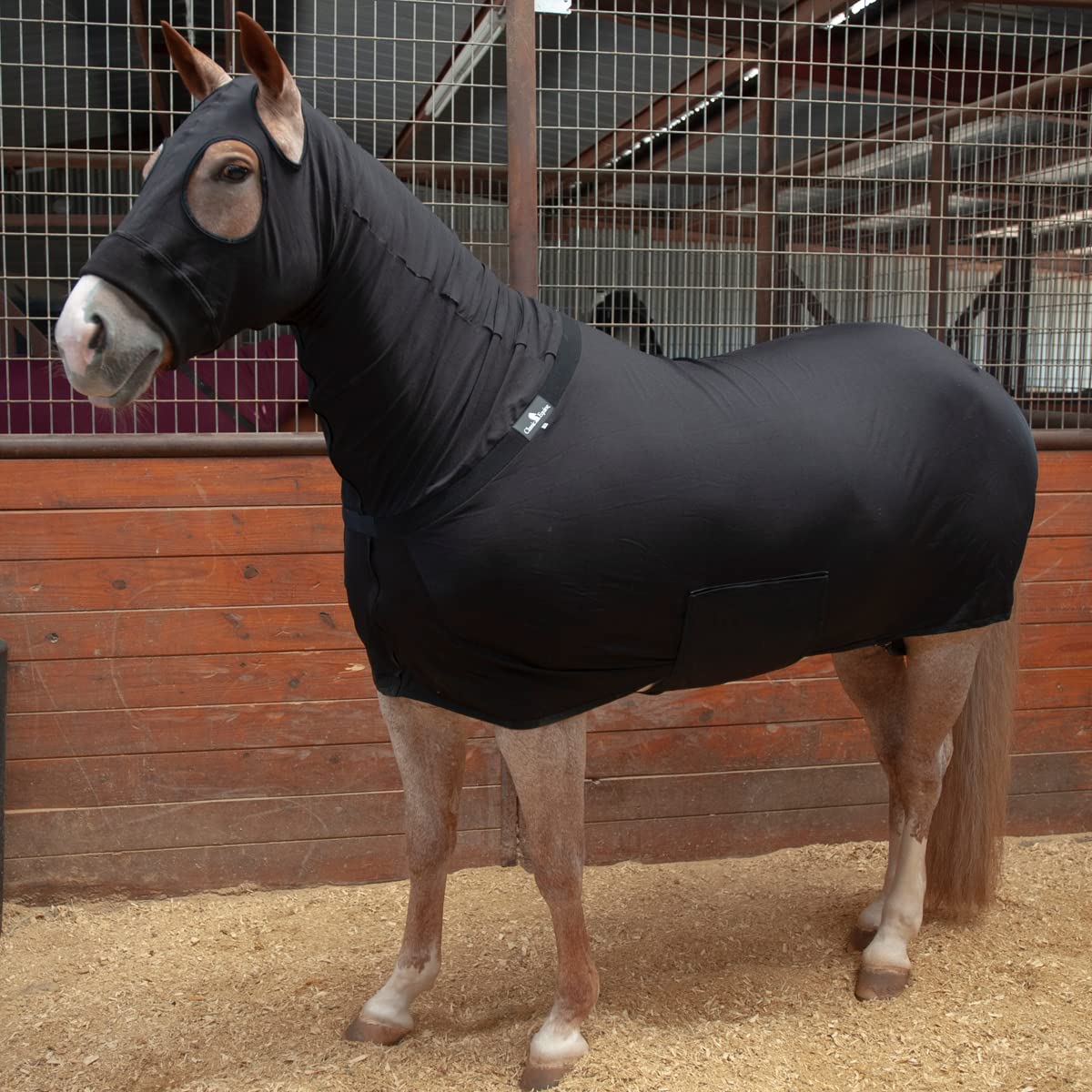 Classic Equine Slinky de cuerpo entero negro mediano: sensación suave para sesiones de entrenamiento