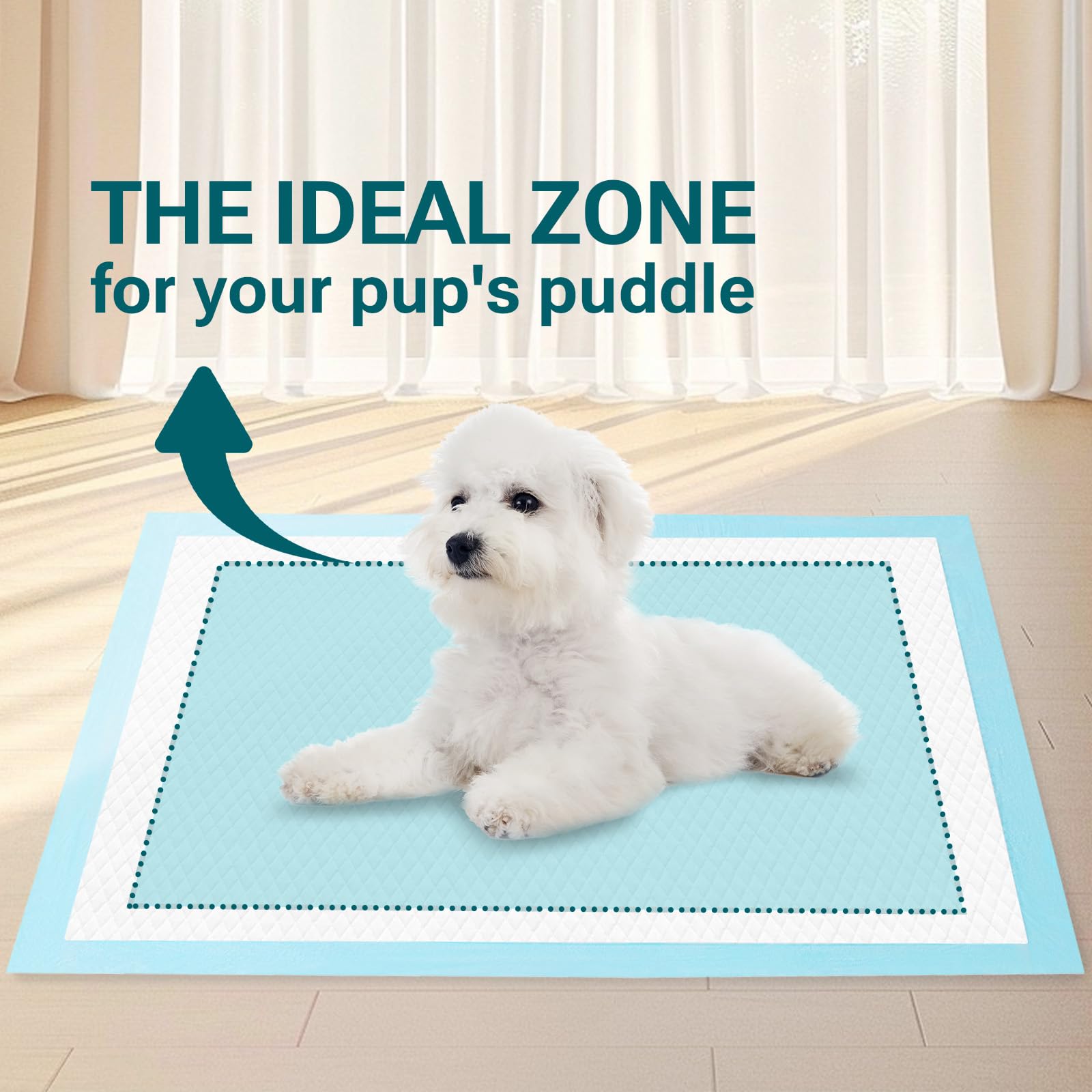 Colocación segura en áreas para bebés y mascotas con Clean Spaces.