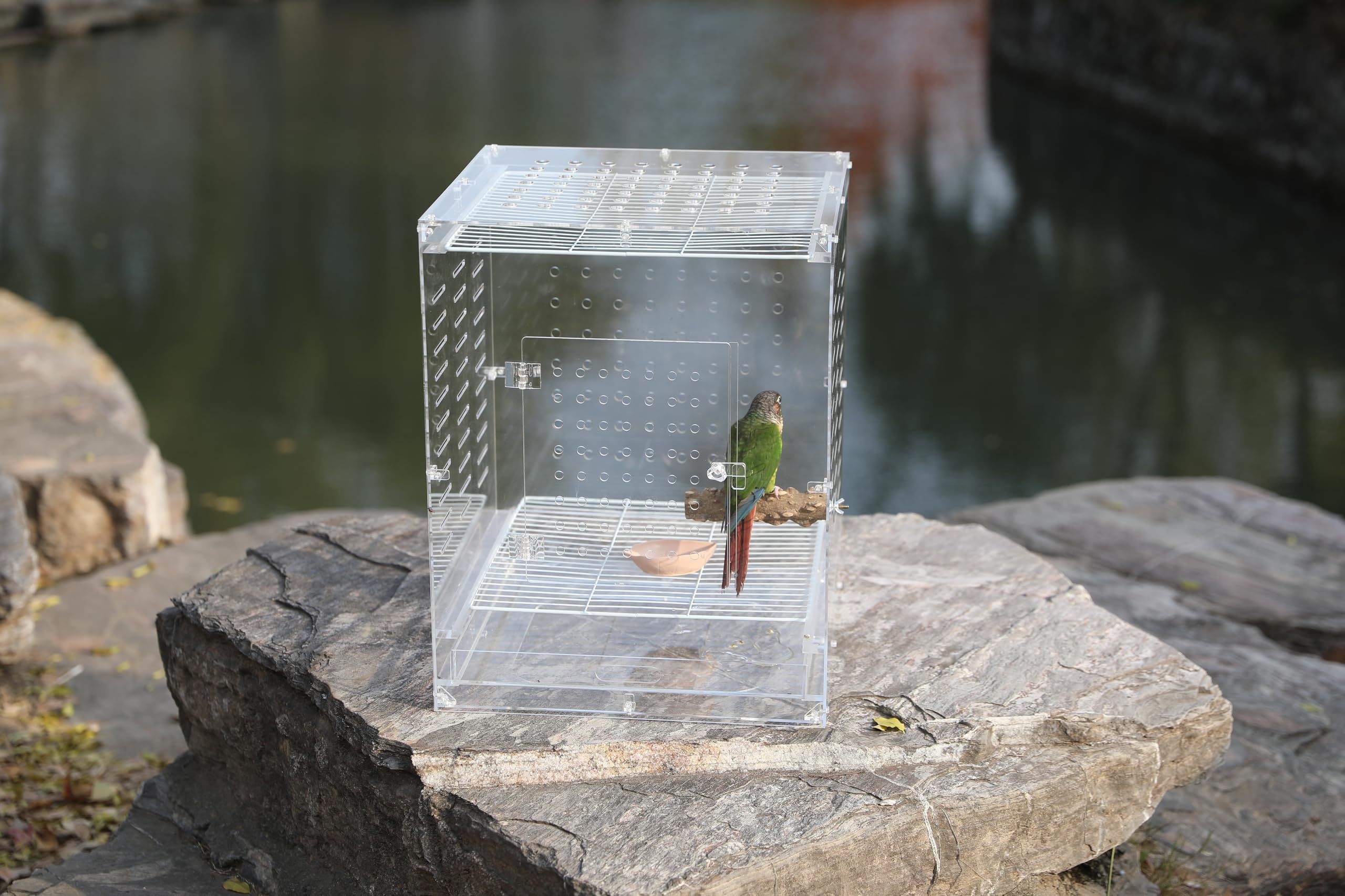 Jaula acrílica clara para aves: ideal para aves pequeñas.