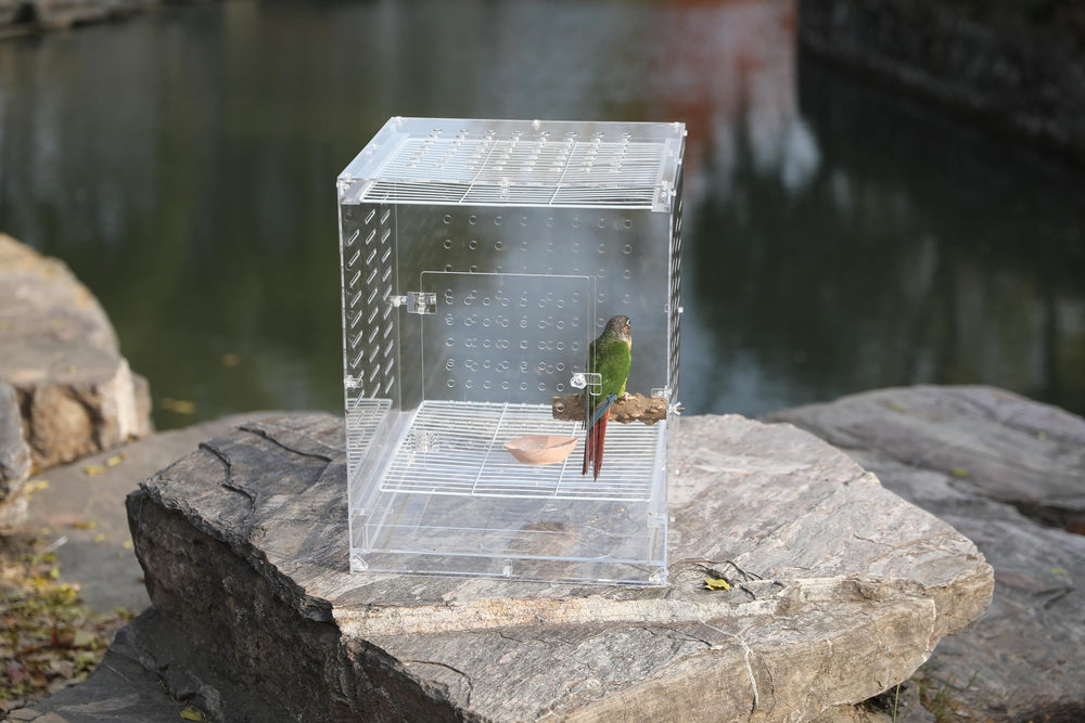 Jaula acrílica clara para aves: ideal para aves pequeñas.