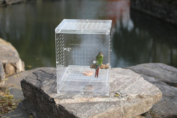 Jaula acrílica clara para aves: ideal para aves pequeñas.