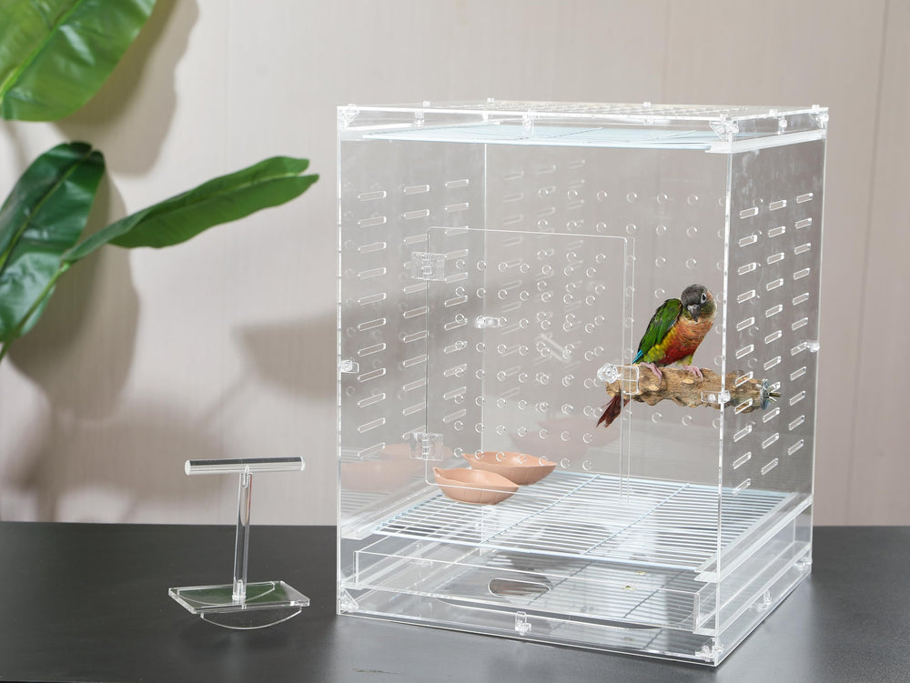 Jaula acrílica clara para aves: permite colocar perchas y juguetes.